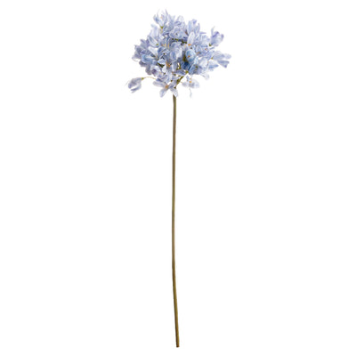 Faux Light Blue Large Headed Agapanthus