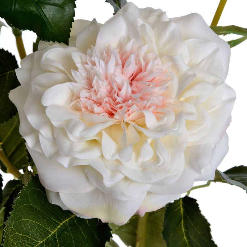 Faux White Garden Rose Spray