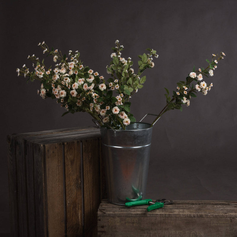 Faux Cream Wild Rose