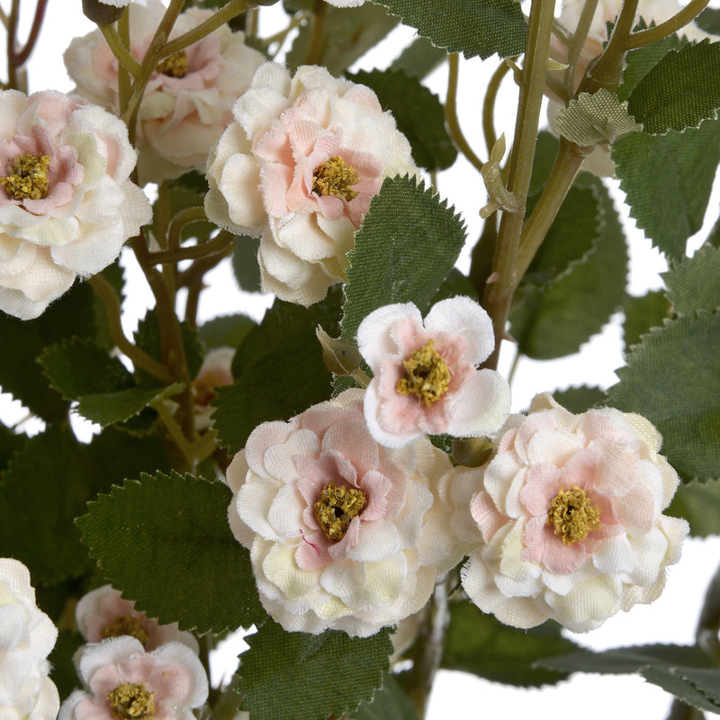 Faux Cream Wild Rose