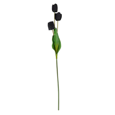 Tall Black Triple Tulip Stem