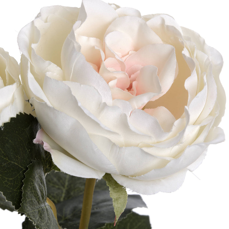 Faux Blush Garden Rose