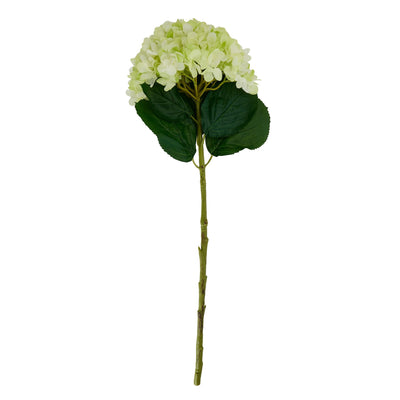 Oversized Faux Green Hydrangea