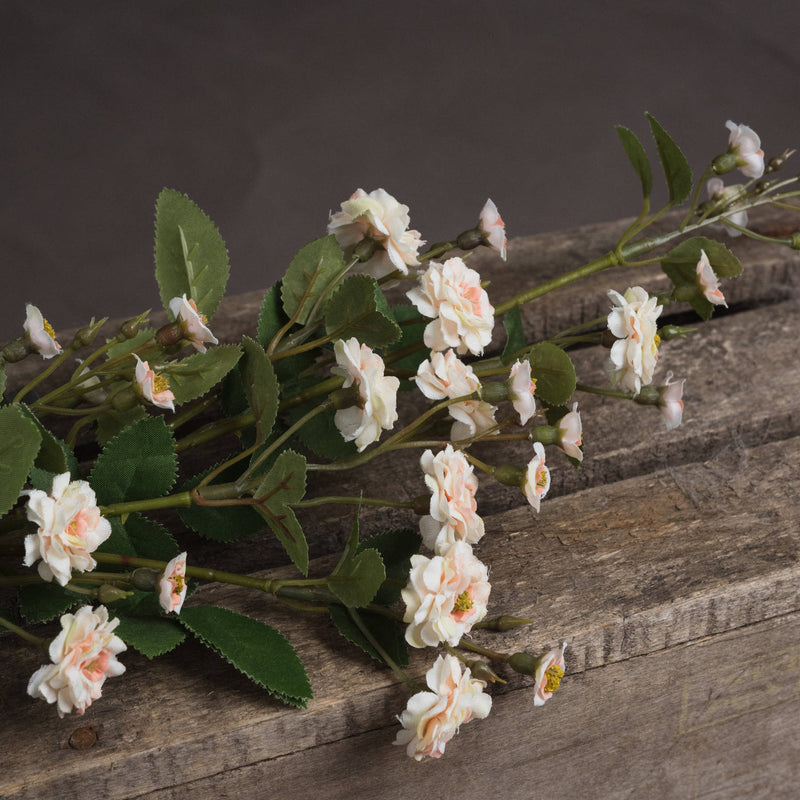 Faux Cream Wild Rose