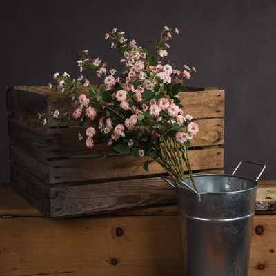 Faux Pink Wild Meadow Rose