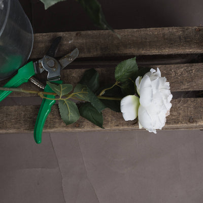Faux Blush Garden Rose