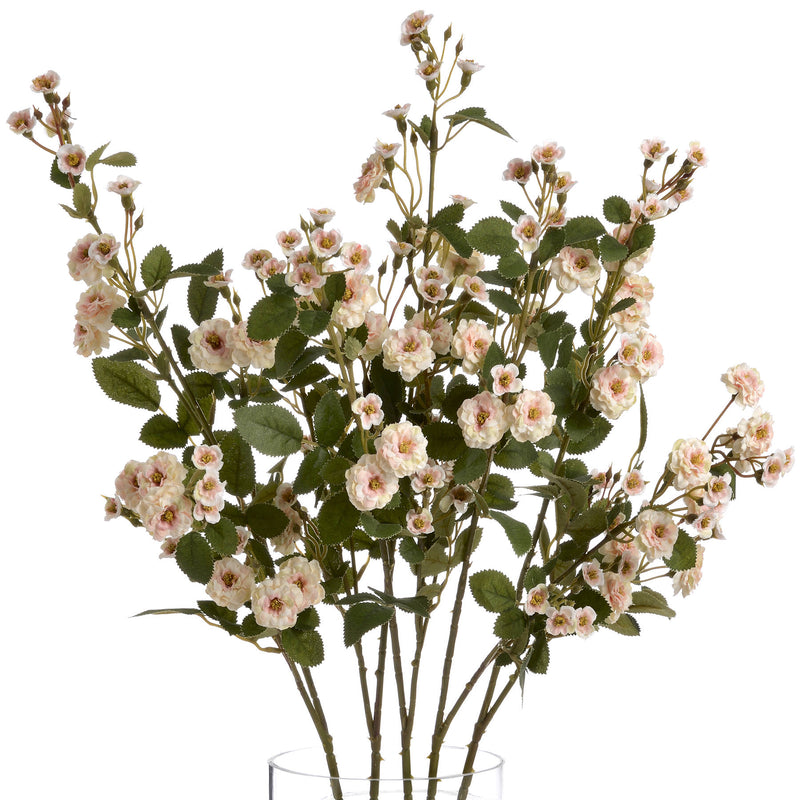 Faux Cream Wild Rose