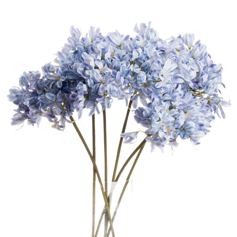 Faux Light Blue Large Headed Agapanthus