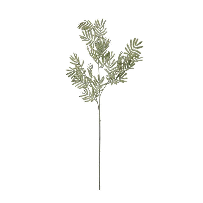 Faux Silver Wattle Leaf