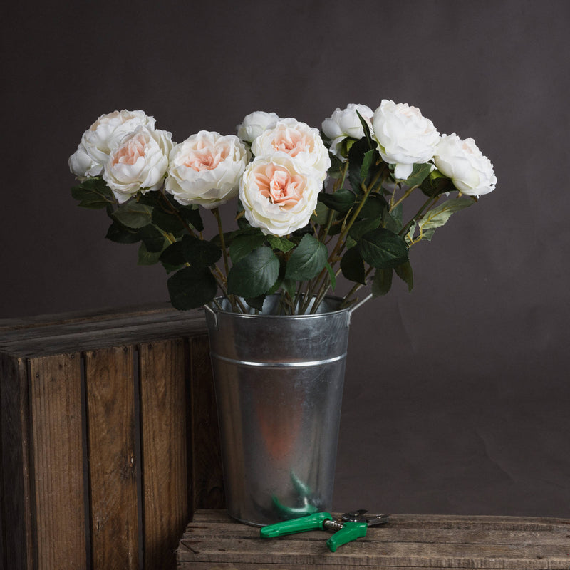 Faux Blush Garden Rose
