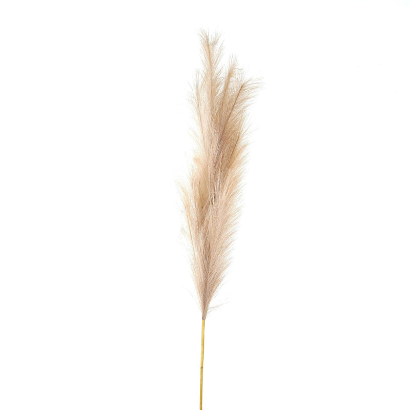 Faux pampas grass