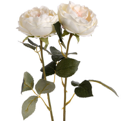 Faux Blush Garden Rose