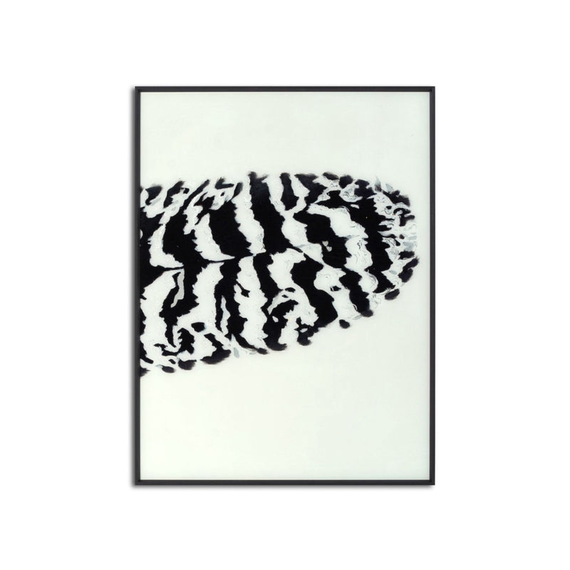 Black Striped Feather Over 3 Black Glass Frames