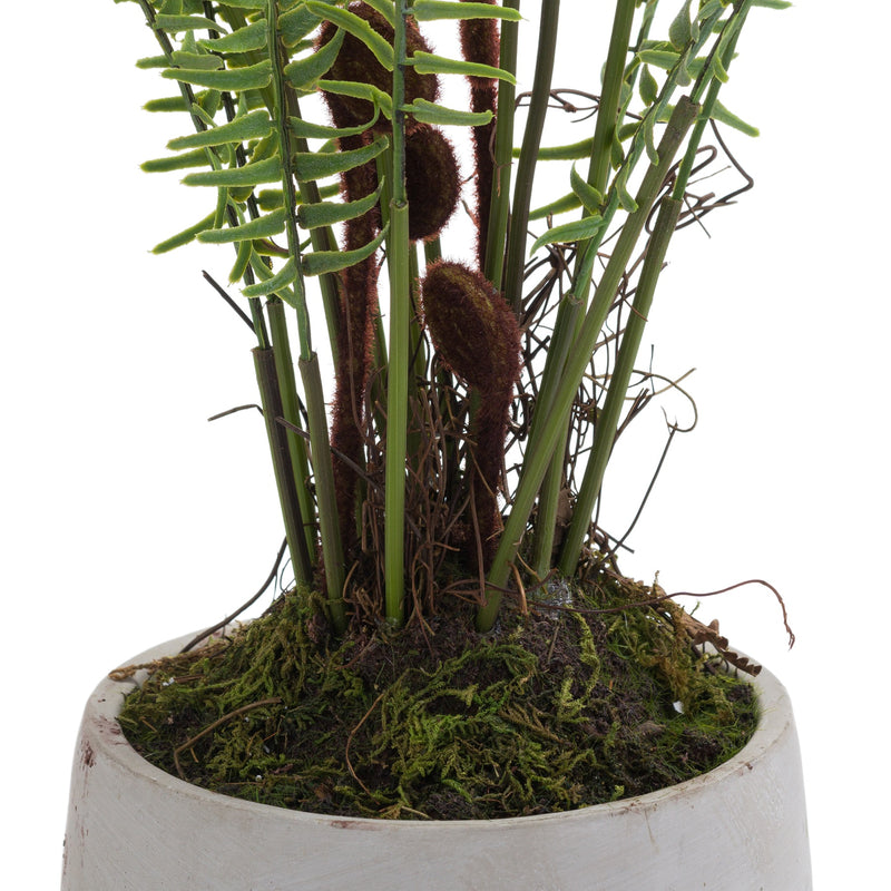 Boston Large Potted Faux Fern