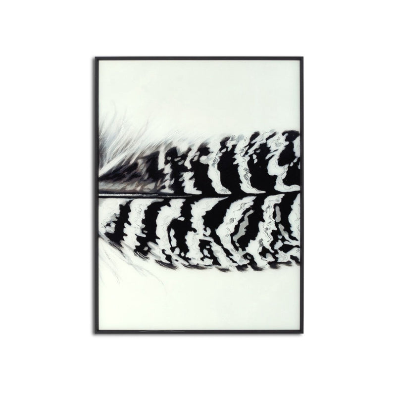 Black Striped Feather Over 3 Black Glass Frames