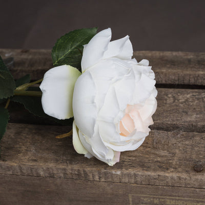 Faux Blush Garden Rose