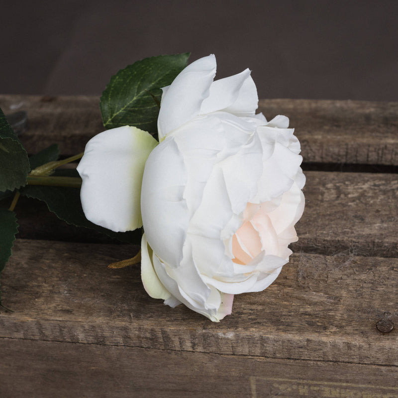 Faux Blush Garden Rose