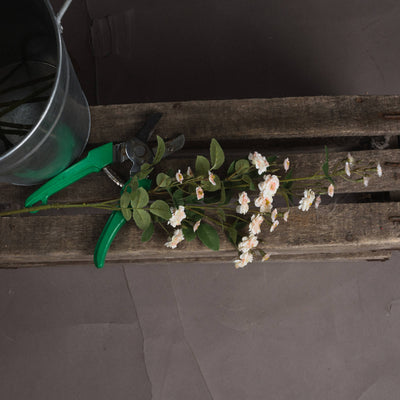 Faux Cream Wild Rose