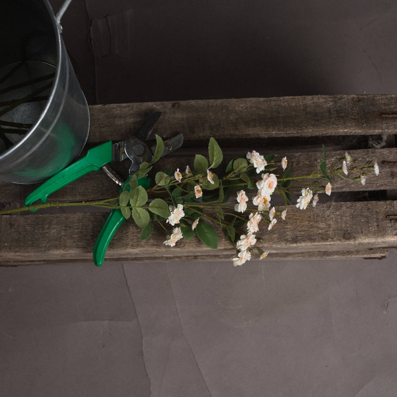 Faux Cream Wild Rose
